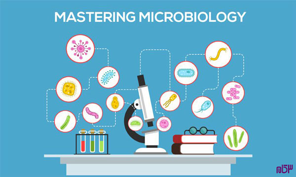 گرایش های ارشد رشته میکروبیولوژی